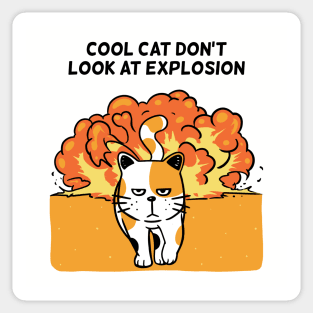 Cool Cat Don't Look At Explosion Sticker